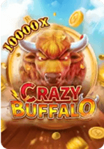 Crazy Buffalo
